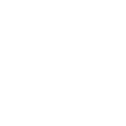 ce logo Wales